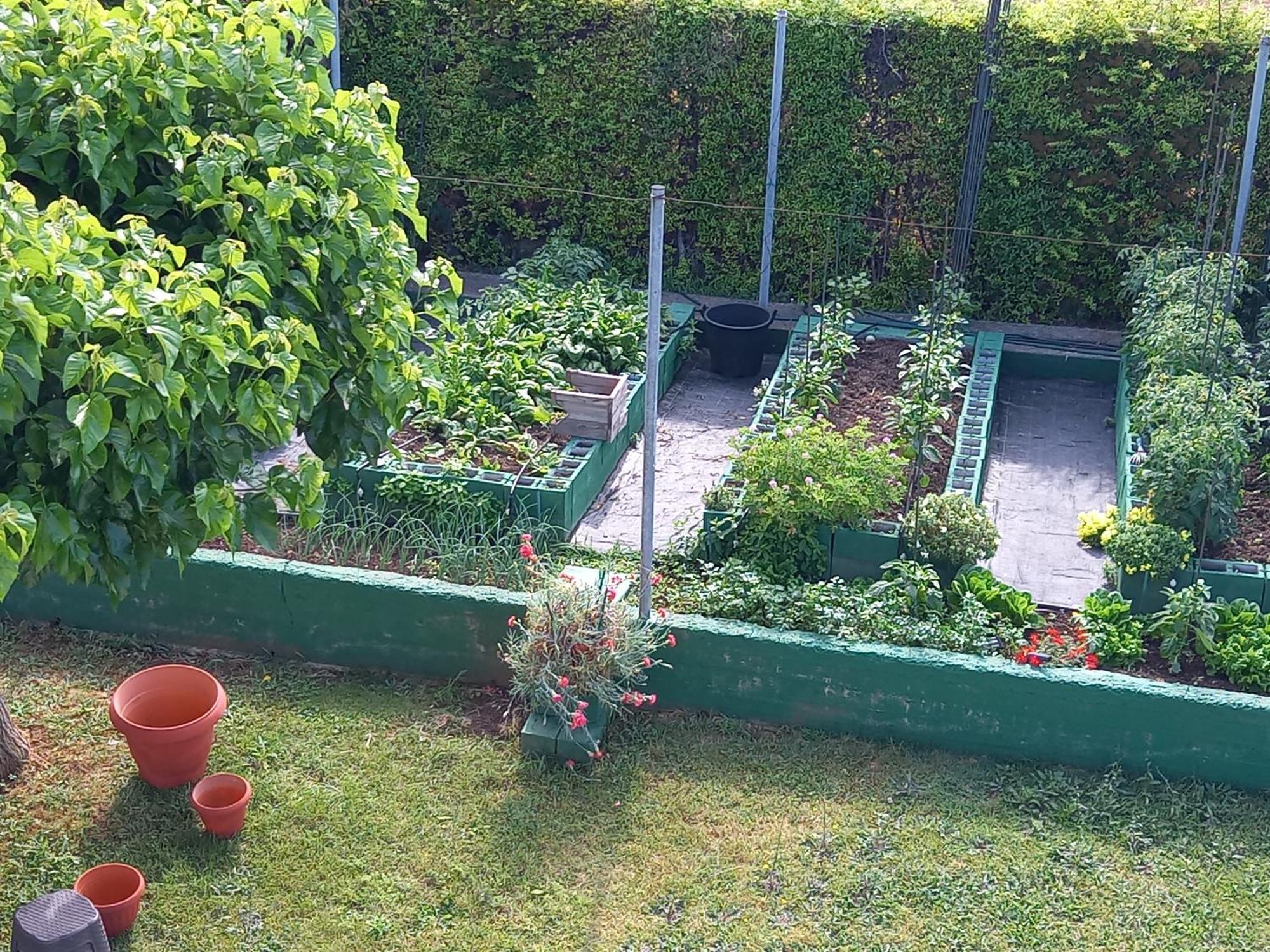 Villa Tammy'S Garden House Leptokaryá Exterior foto